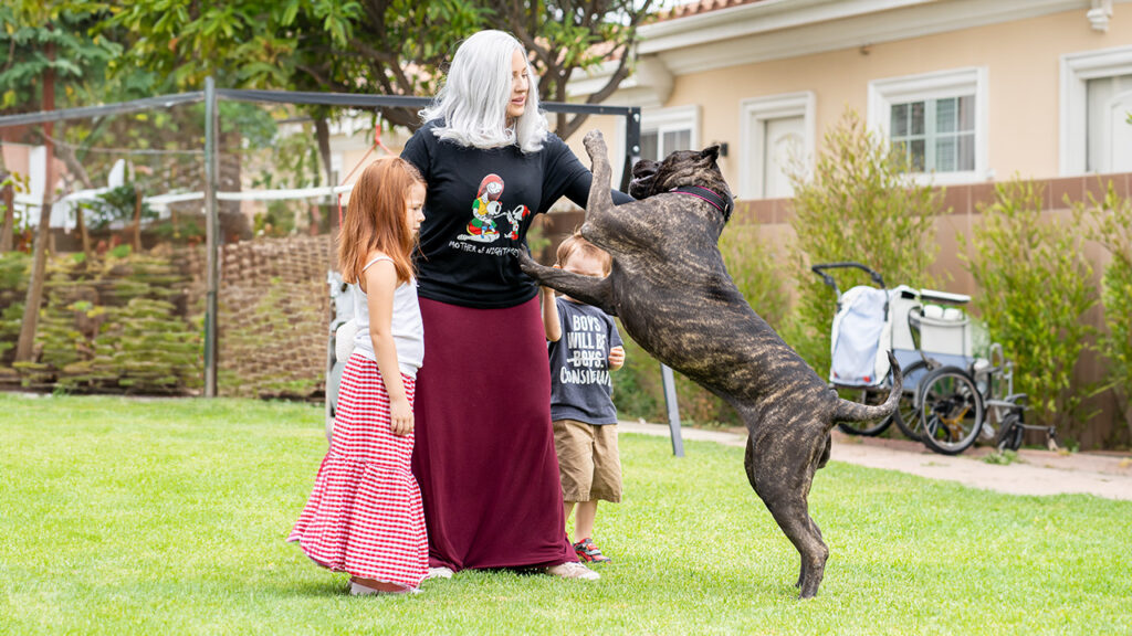 A Presa Canario dog playfully running wild in the yard while children watch from close distance.