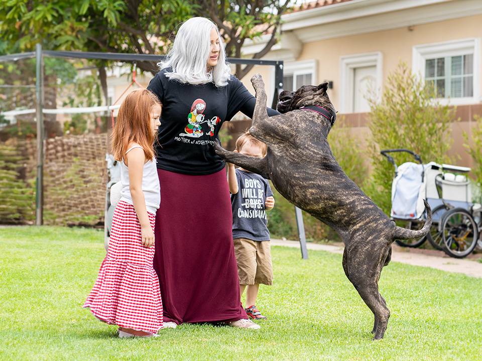 A Presa Canario dog playfully running wild in the yard while children watch from close distance.
